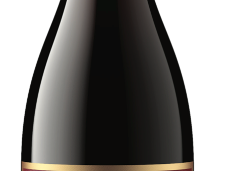 2022 Alexana Terroir Selection Pinot Noir, Willamette Valley, USA (750ml) Hot on Sale