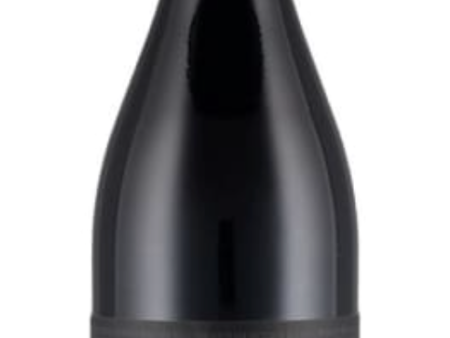 2011 Gerardo Cesari Bosan, Amarone della Valpolicella DOCG, Italy (750ml) For Discount