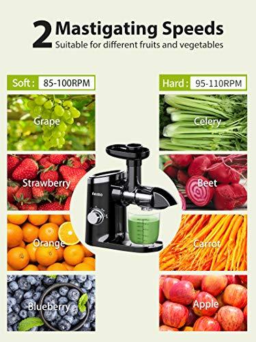 Slow Juicer,Aeitto Masticating Juicer,Juice Extractor,Cold Press Juicer with 2-Speed Modes,Juicer Machines with Reverse Function & Quiet Motor for Vegetables And Fruits,Easy to Clean with Brush Sale