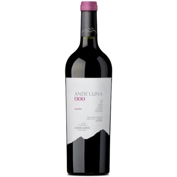 2022 Andeluna Cellars 1300 Malbec, Uco Valley, Argentina (750ml) Online now