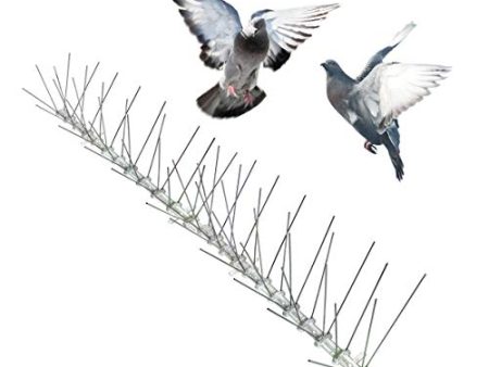 Bird-X STS-50 Regular Width 6-inch Stainless Steel Bird Spikes, Metal Roof Guard Pigeon Prevention, Rodent Deterrent, Animal and Pest Control Supplies, 50 feet For Cheap