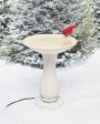 API Heated Birdbath Heated Bird Bath with Mounting Hardware (Item No. 600) Hot on Sale